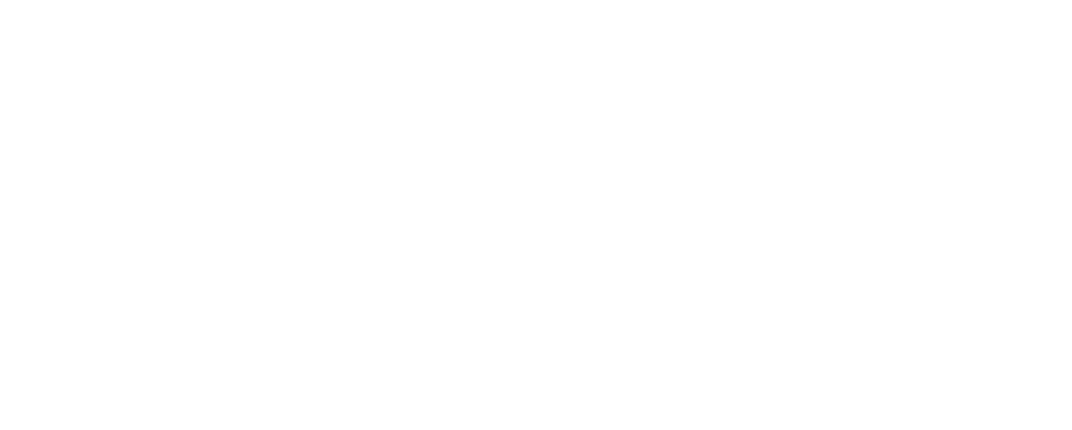 She's Next Logo